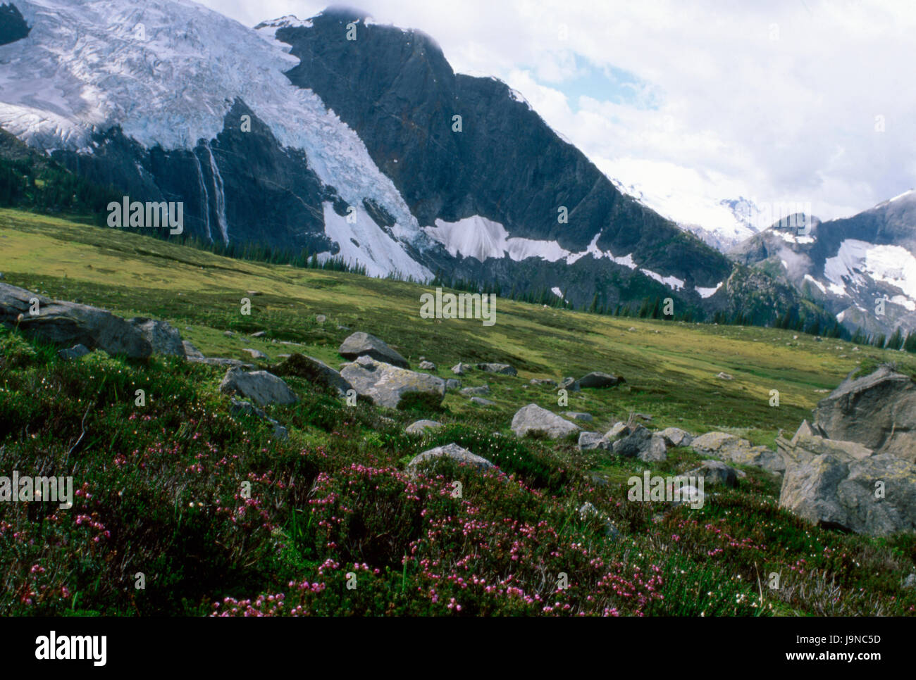 Bear Glacier, Selkirk Mountains, British Columbia, Canada 7 12 Foto Stock