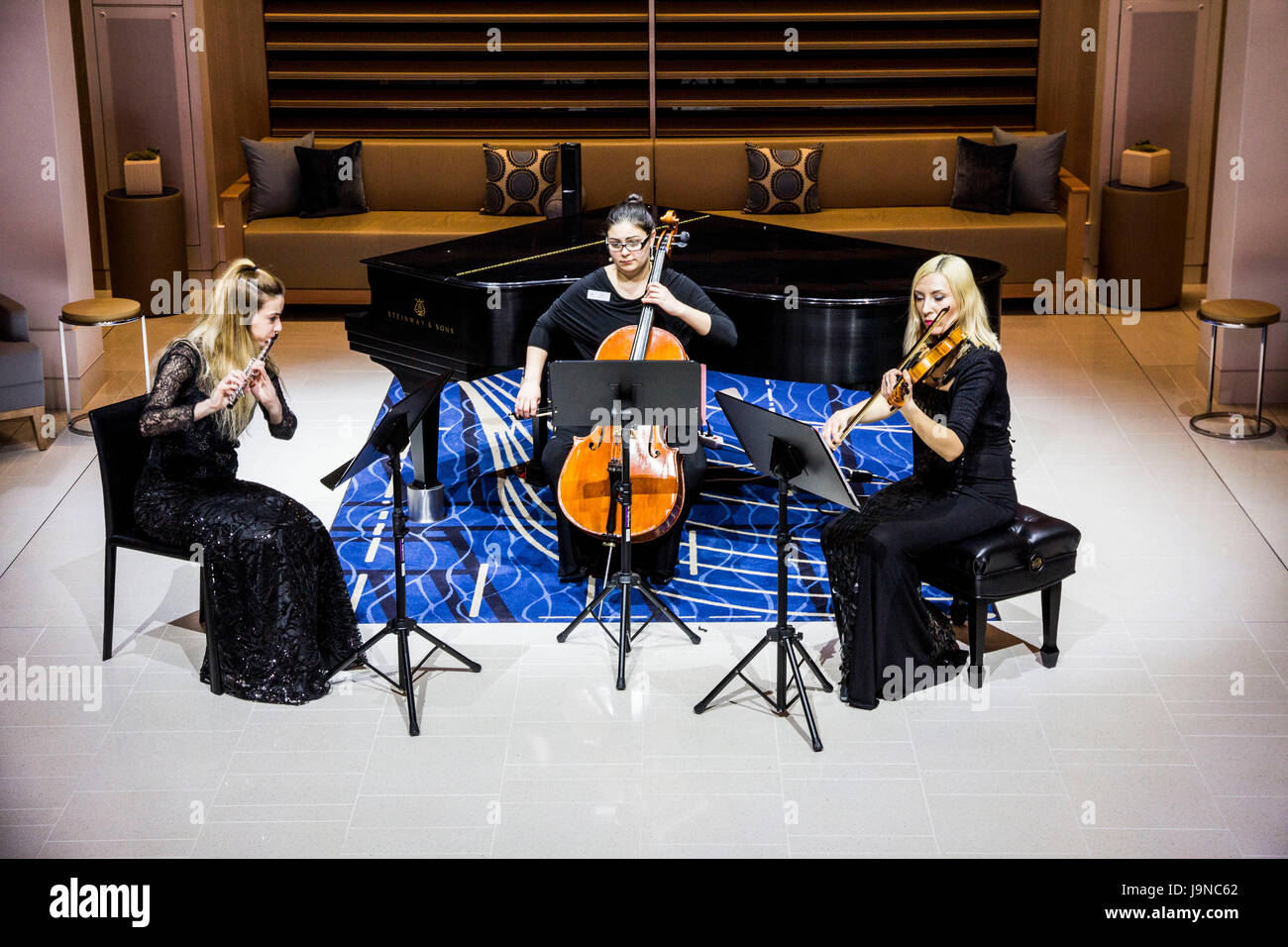 Suoni rilassanti dal classico Viking Serenade Trio Viking mare di passeggeri. Foto Stock