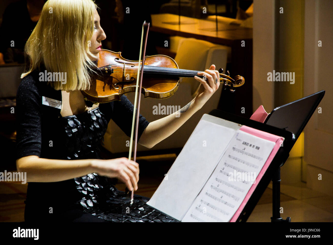 Suoni rilassanti dal classico Viking Serenade Trio Viking mare di passeggeri. Foto Stock