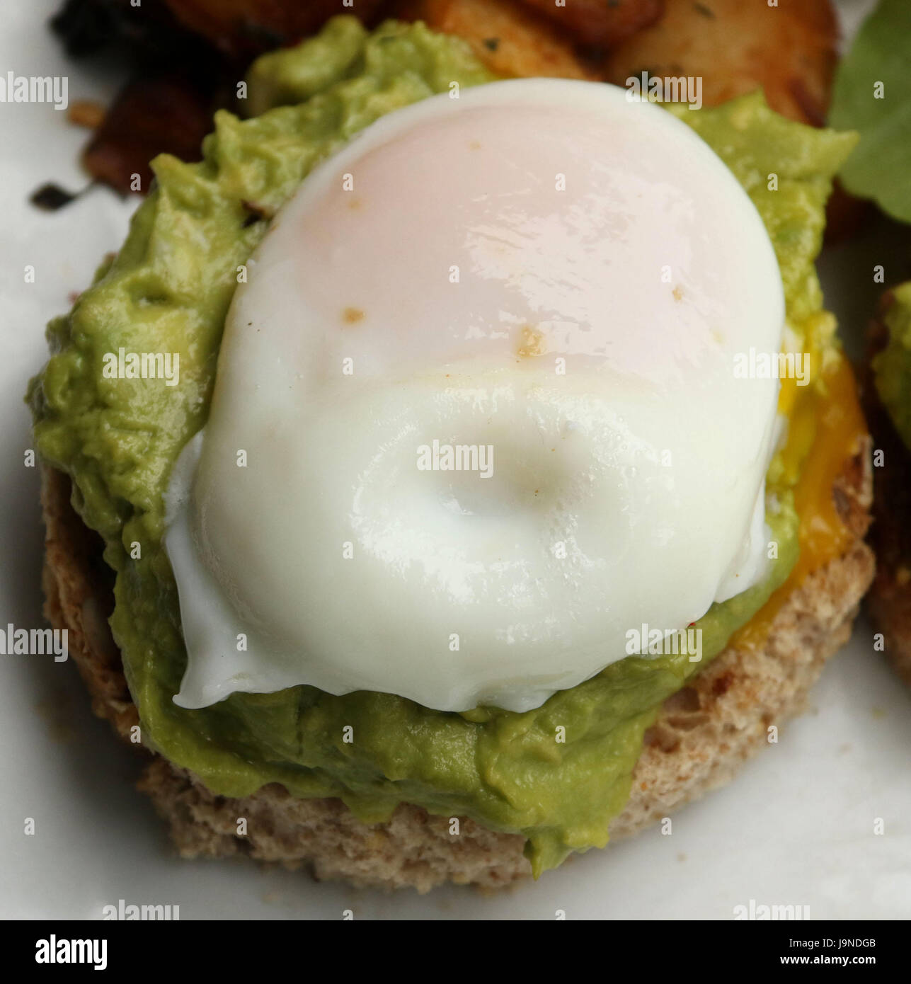 Uovo affogato con avocado spread su muffin multigrain Foto Stock