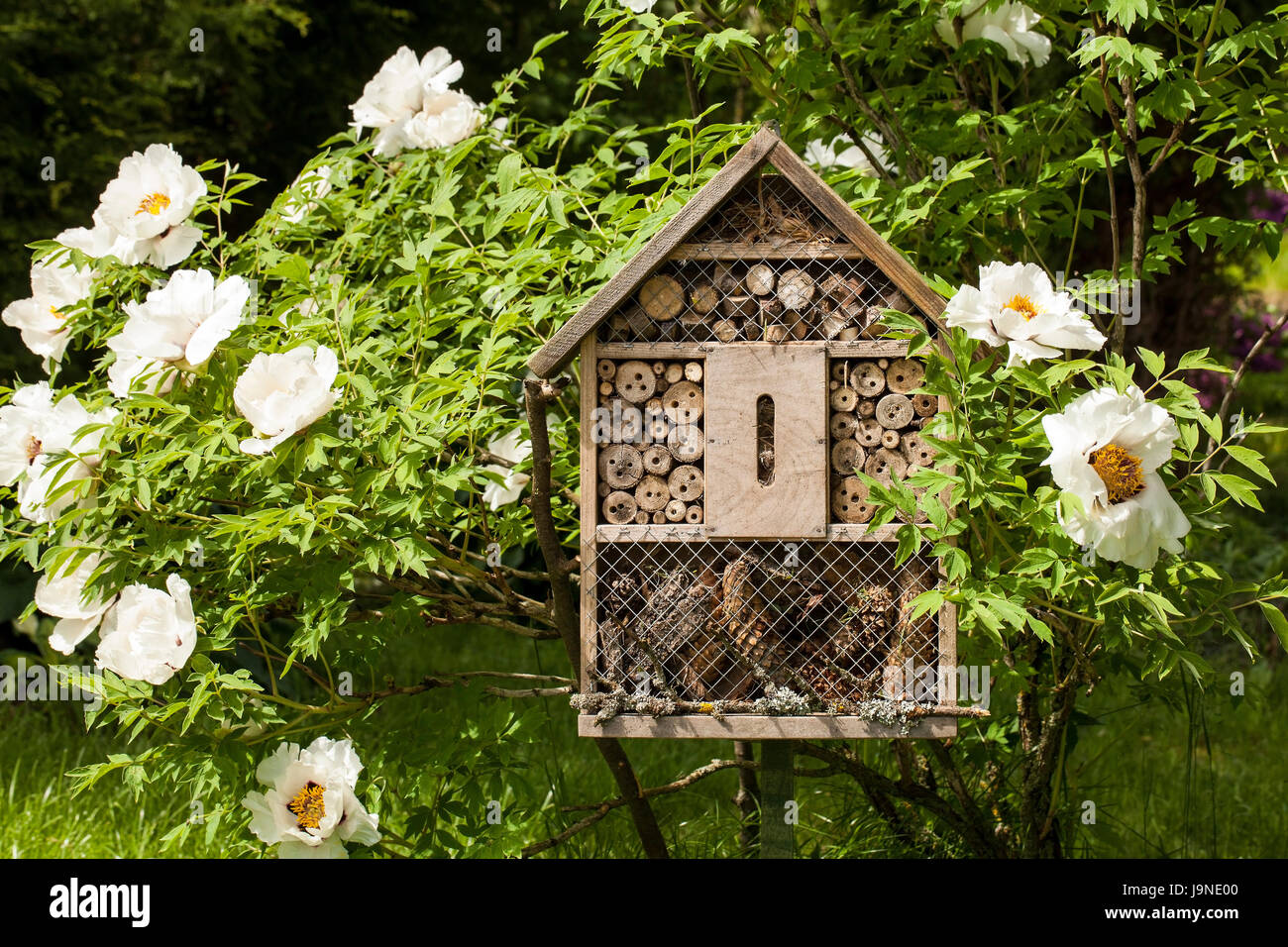 Casa di insetti in un giardino estivo Foto Stock