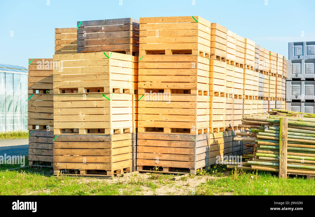 Svuotare le casse di legno impilate su pallet all'esterno. Parte di serra visibile in background. Foto Stock