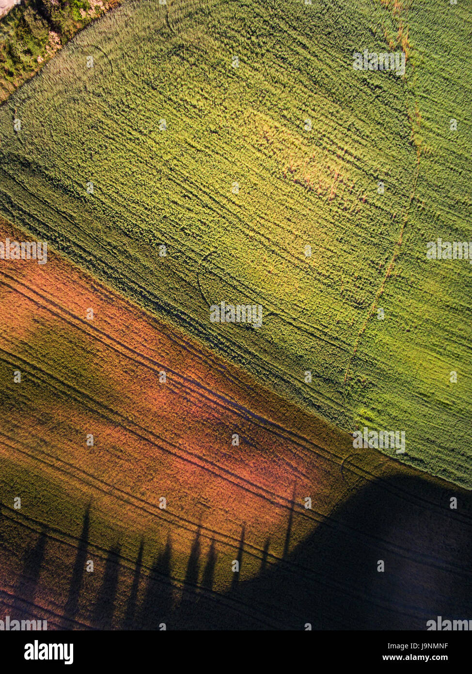 Vista aerea dalla vista dall'alto. toscana. Italia Foto Stock