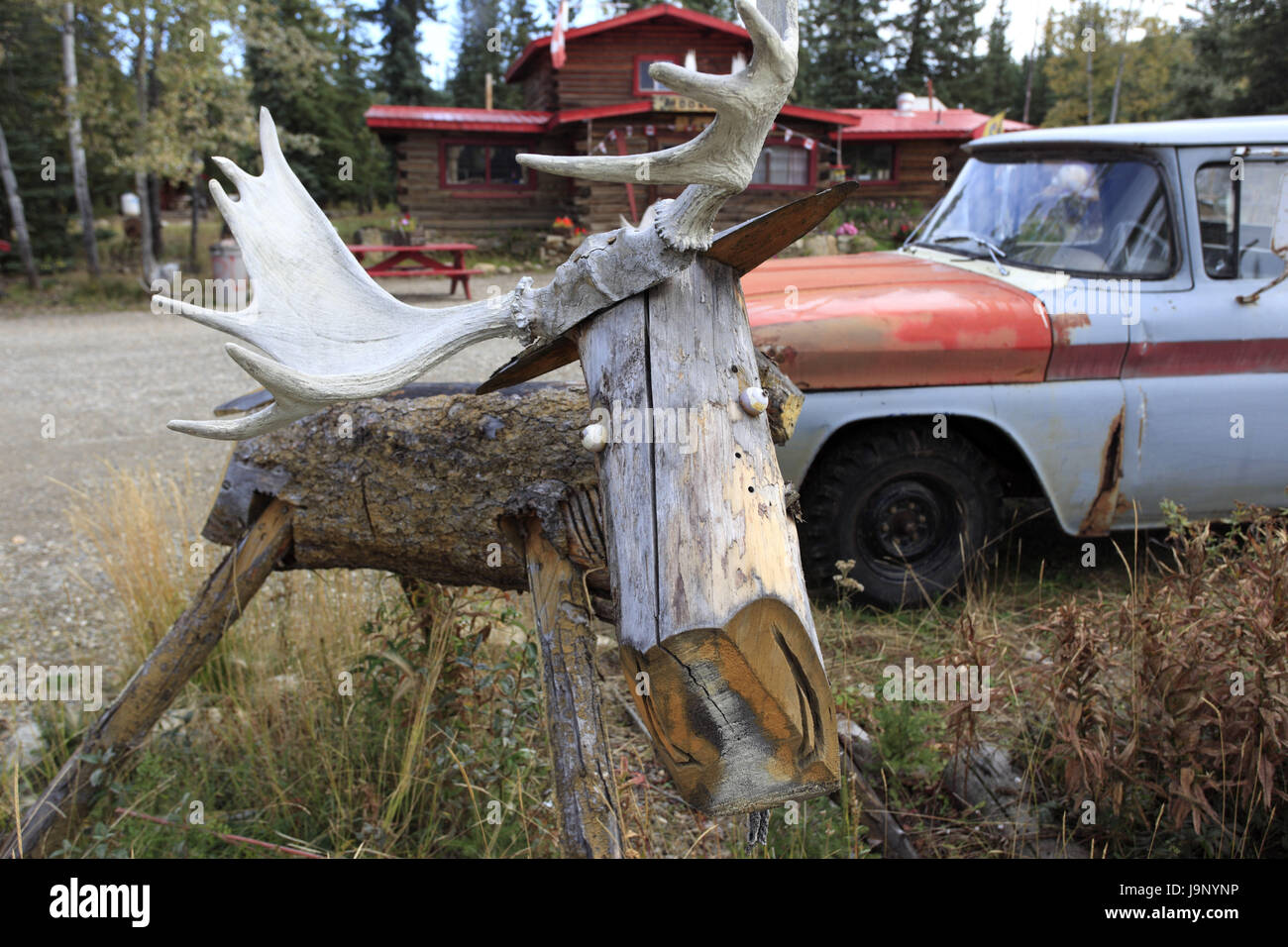 America del nord, Canada,Yukon Territory,Yukon Territory,Klondike Highway,muschi Creek,trapper's acciaierie,auto,elk's palchi, Foto Stock