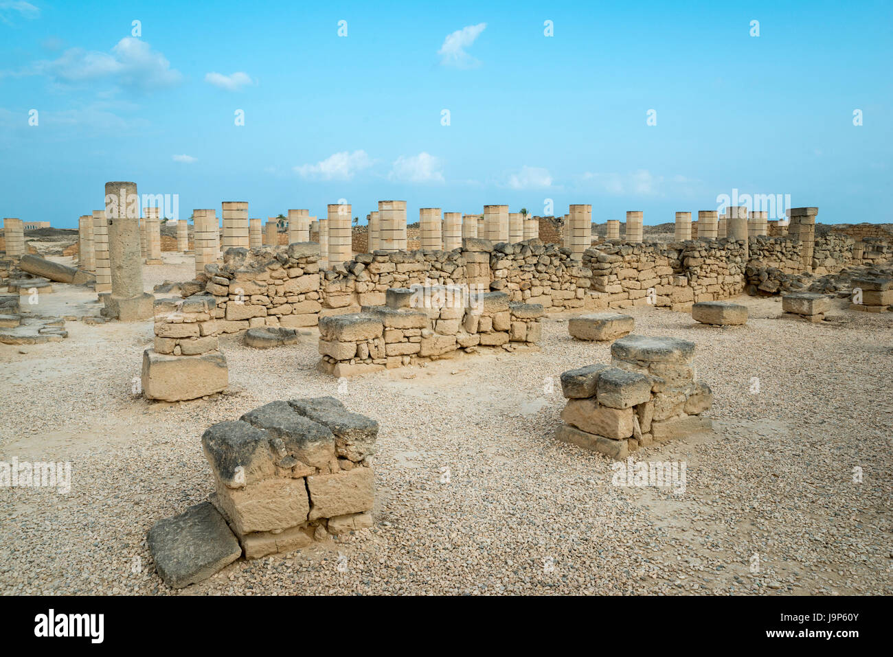 Al-Baleed parco archeologico, Salalah, Dhofar Governatorato, Oman Foto Stock