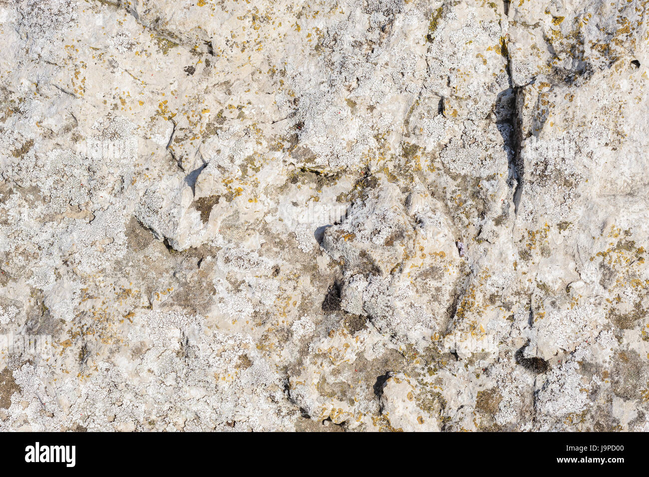 Roccia Naturale con il lichen texture Foto Stock