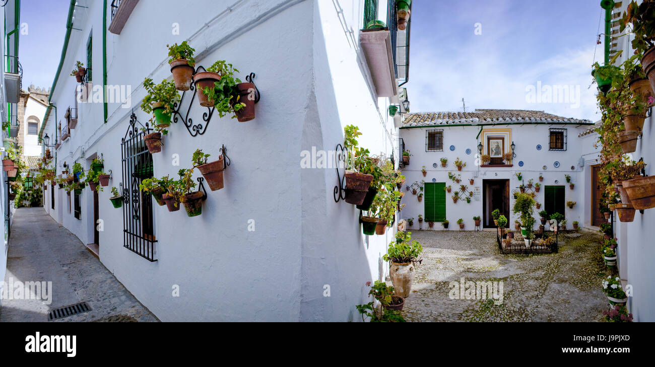 Spagna,Andalusia,Priego de Cordoba,lane,facciate di case,la decorazione floreale, Foto Stock