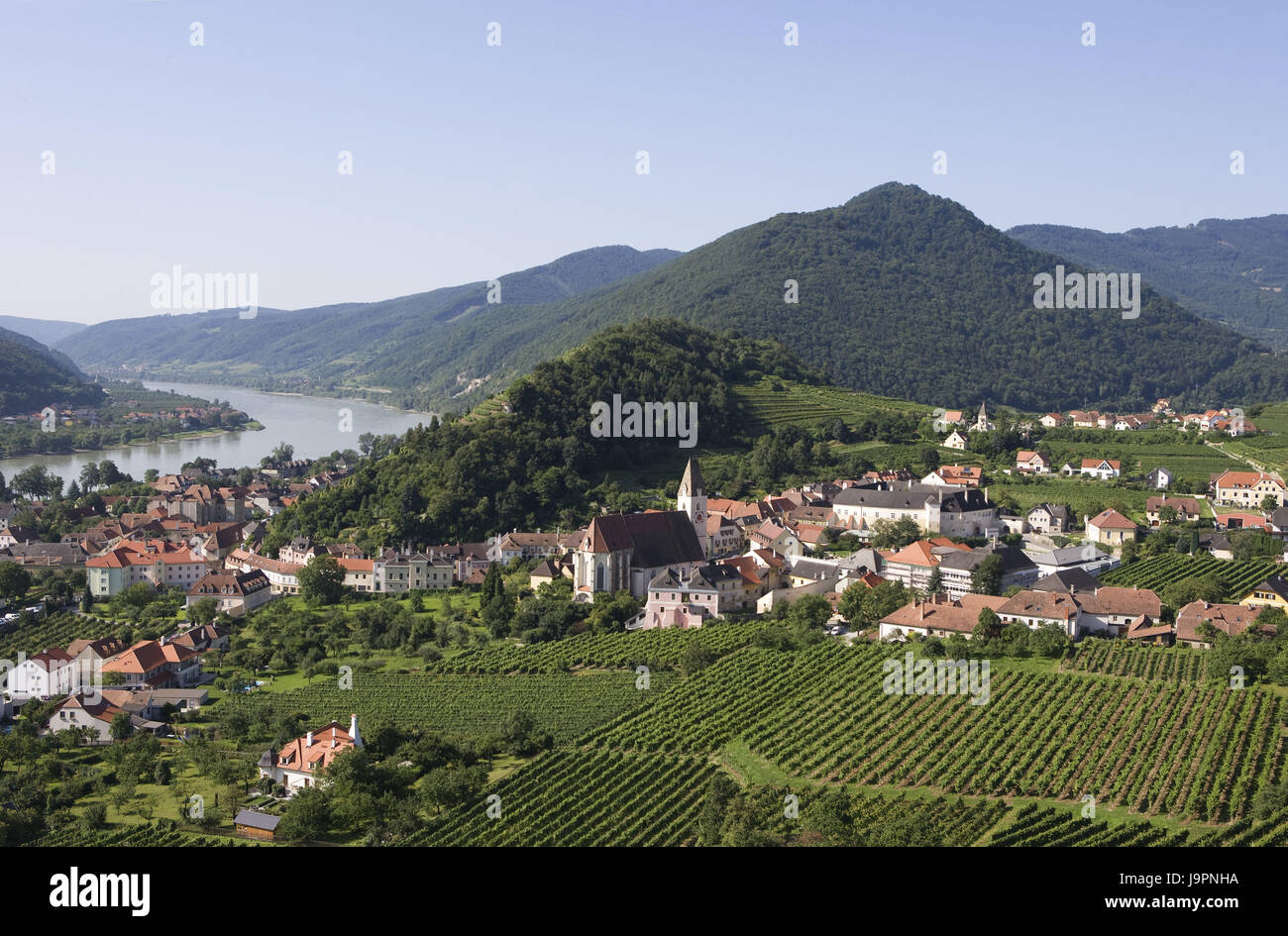 Austria,l'Austria inferiore,Wachau,spike,il Danubio,la viticoltura, Foto Stock