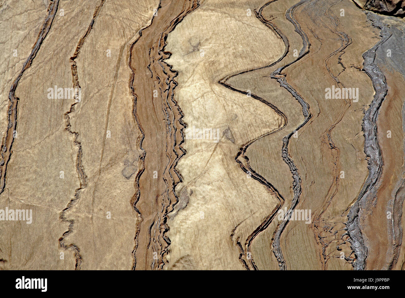 La Namibia,Damaraland,Skeleton Coast park,scogliera,dettaglio,l'Africa,natura,erode,Steilwand,a forma di onda,verticalmente,strati di roccia,Steilfelsen,Auffaltungen,costruzione di strato,inclusioni,conduttori,dettaglio,l'erosione,geologia,beige,marrone,audio layer, campioni, Foto Stock