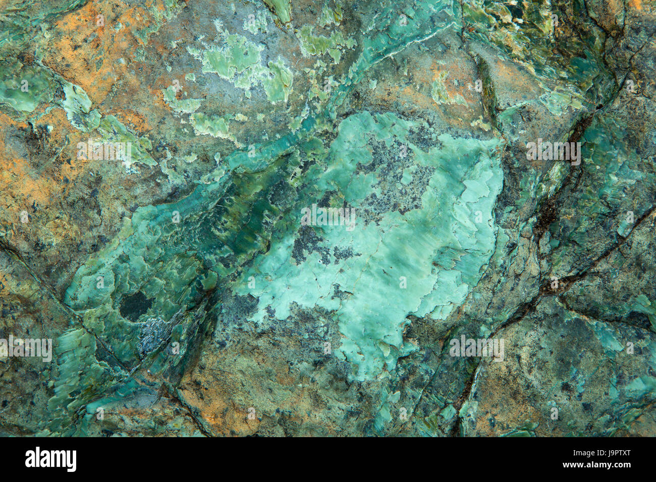 Serpentina lungo Little Falls Trail, Illinois selvatica e Scenic River, Siskiyou National Forest, Oregon Foto Stock