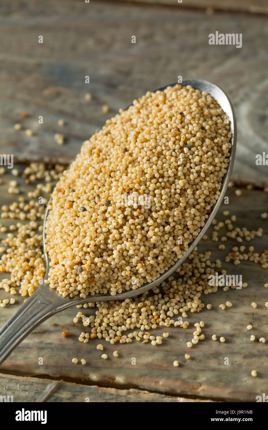 Greggio bianco organico di semi di papavero in una ciotola Foto Stock