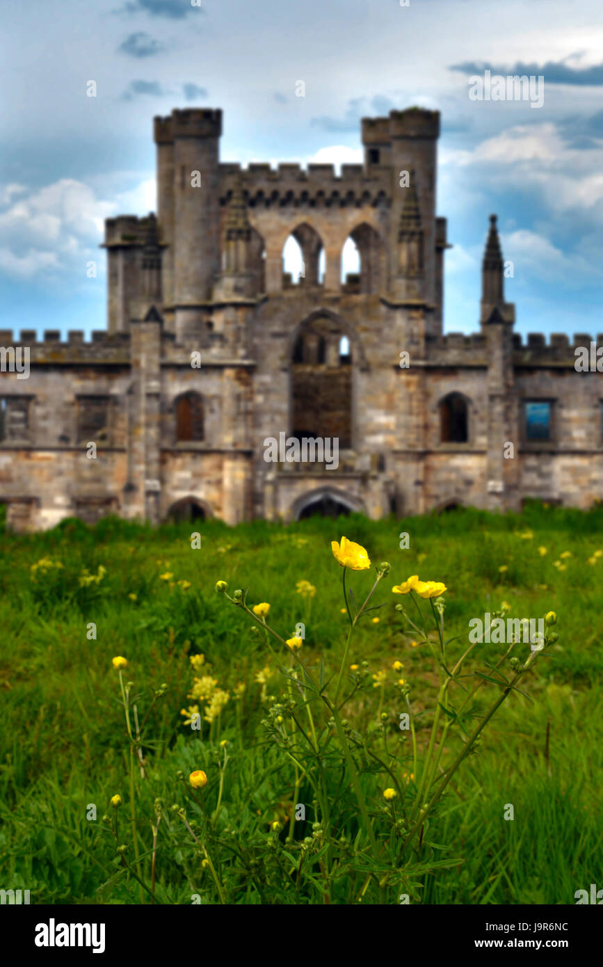 Un ritratto vista del guscio del castello Lowther in Cumbria, nel Regno Unito. Daisy fiori ed erba in primo piano con le nuvole in background. Foto Stock