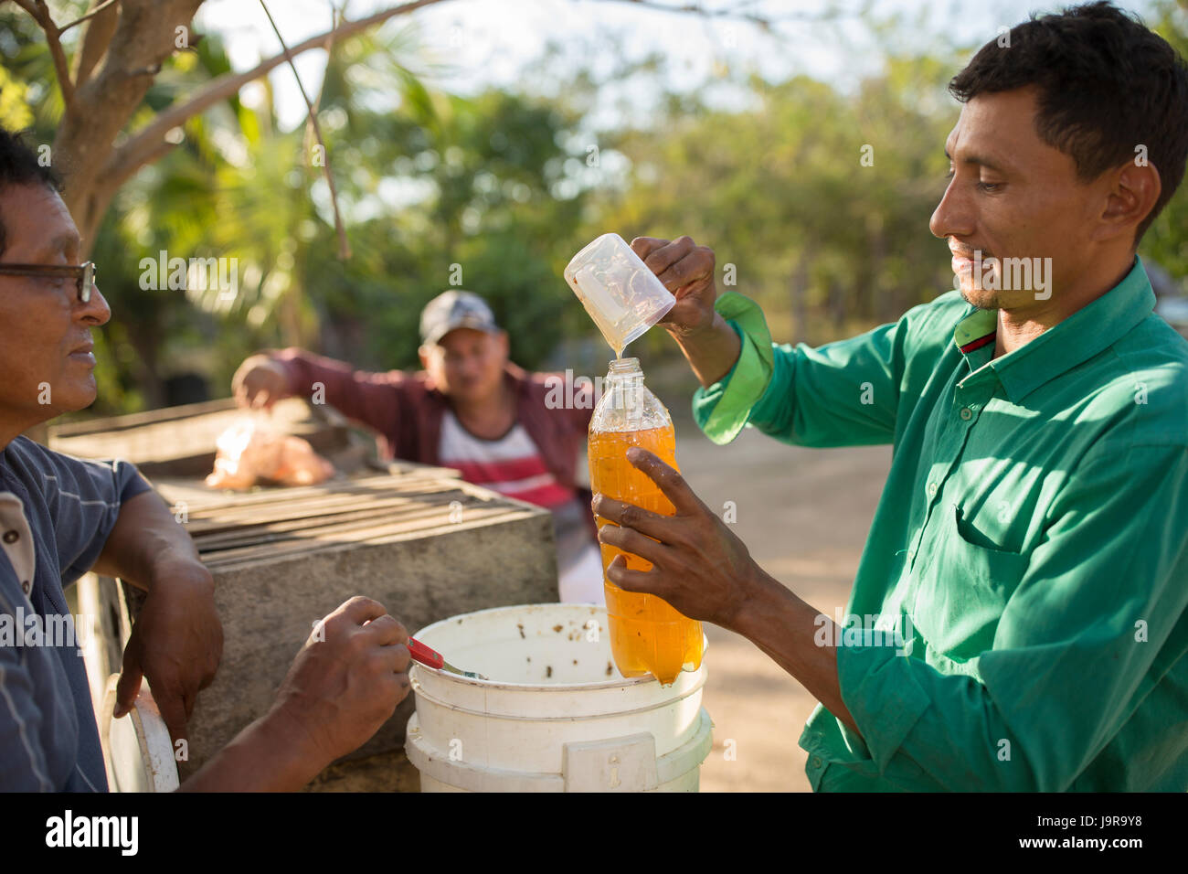 Honeybee custodi bottiglia raccolti di fresco miele a Léon Reparto, Nicaragua. Foto Stock