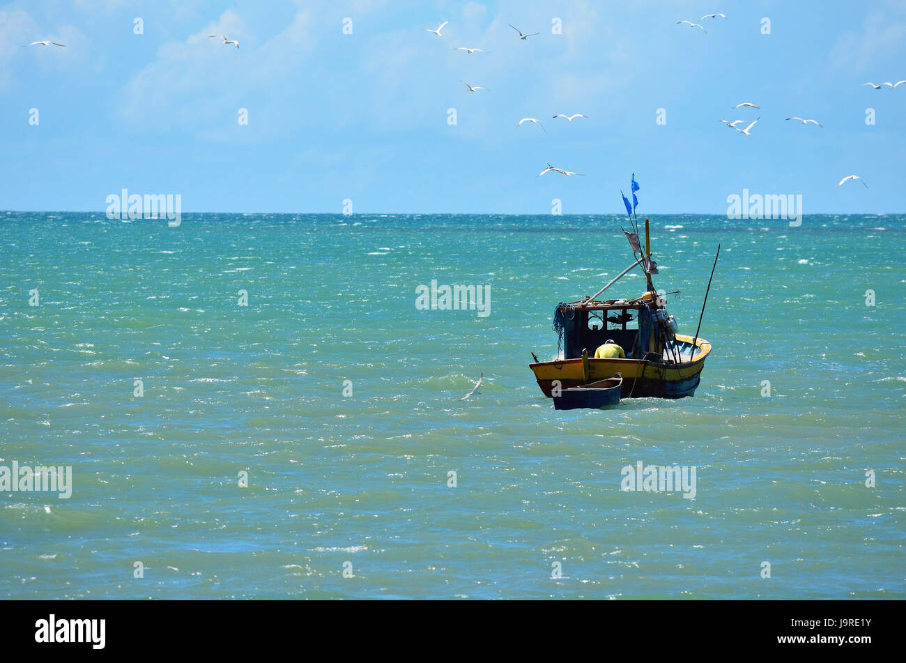Fisherman's boat circondata da gabbiani in Porto Seguro, Bahia, Brasile. Foto Stock
