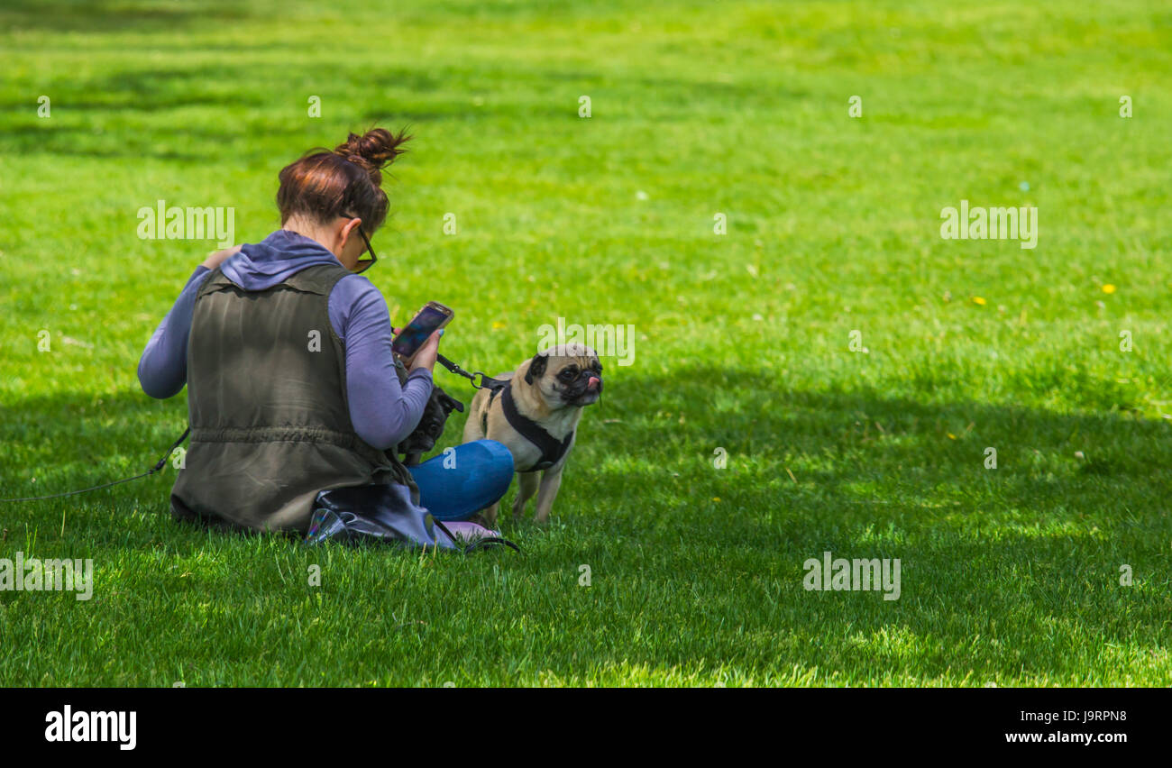 Donna Relax nel parco con Pug cani Foto Stock