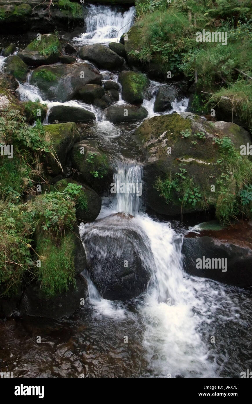 Idilliaco cascate di Triberg Foto Stock