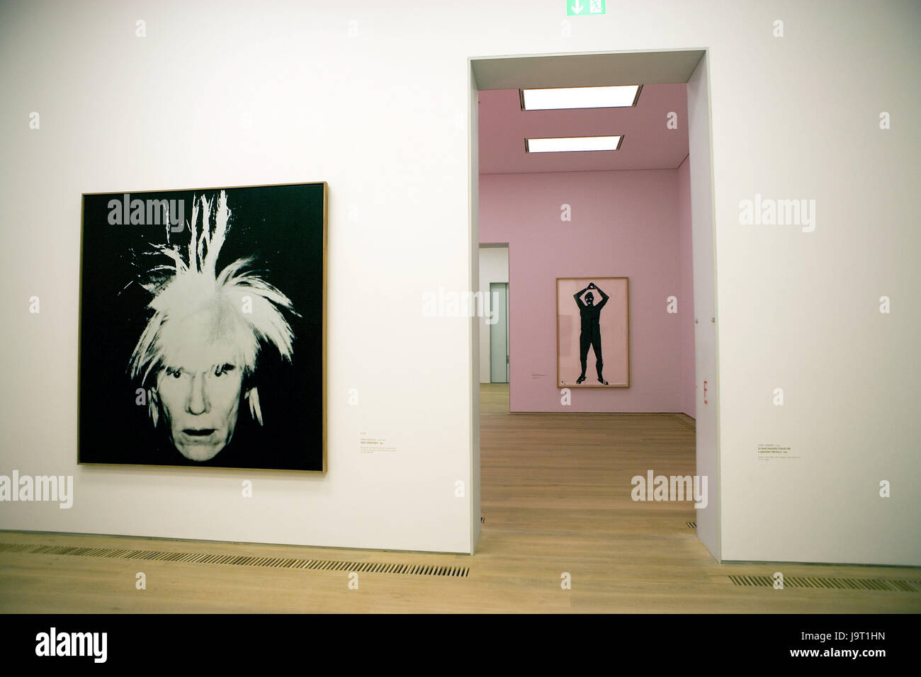 La germania,la Baviera,Monaco di Baviera,Museo Brandhorst,showroom,fire nest museo,museo,all'interno,camere,presentano,l'arte,pezzi d'arte,interior design,turismo,luogo di interesse,nessuno, Foto Stock