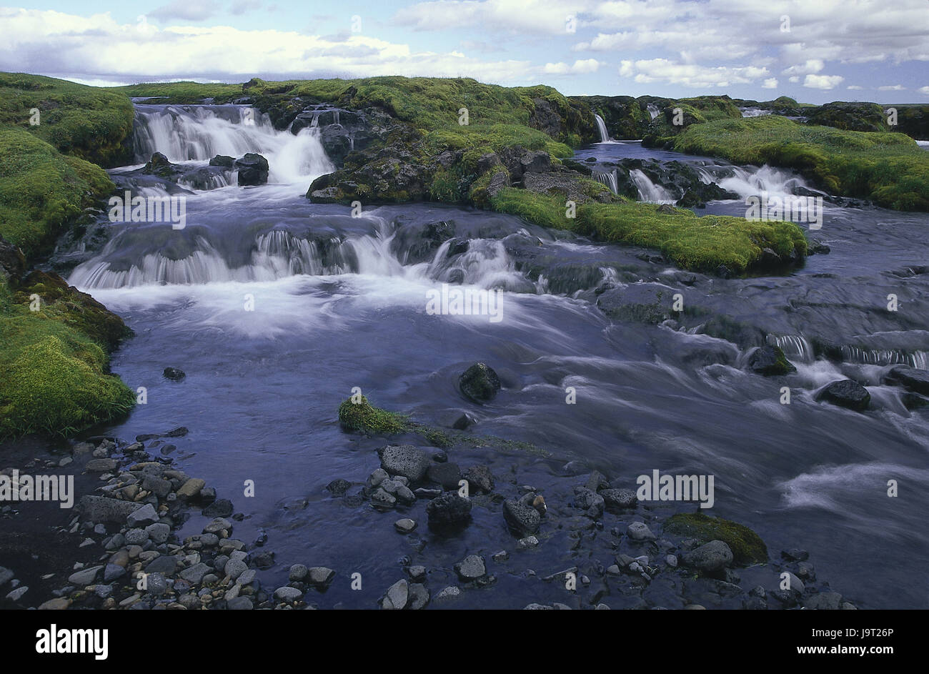 L'islanda,cascata,l'Europa,Südisland,deserta,brook,fiume,moss,l'erba,natura,pietre,l'acqua,correntemente,vividamente,intatta,momento,movimento,il fascino,freschezza,vitalità,verde, Foto Stock