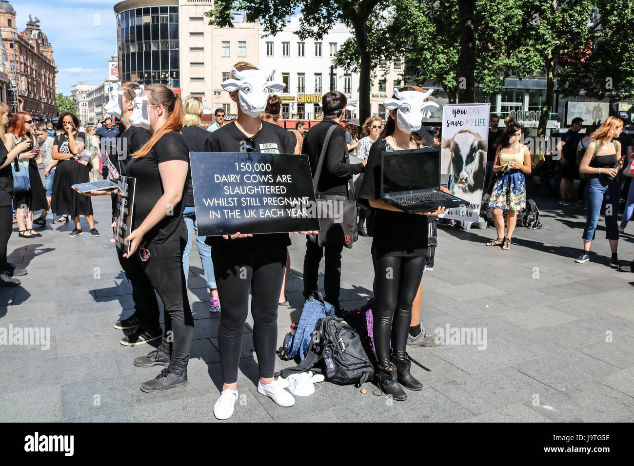 Londra REGNO UNITO. Il 3 giugno 2017. Diritti degli animali manifestanti indossano maschere di vacca protestare nel quadrato di Leicester contro aziende lattiero-casearie e allo sfruttamento delle mucche invitando i membri del pubblico per andare vegane Credito: amer ghazzal/Alamy Live News Foto Stock