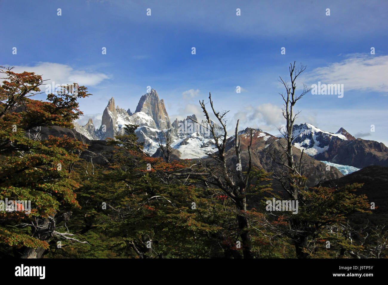 Il monte Fitz Roy, parco nazionale Los Glaciares, Argentina Foto Stock Il monte Fitz Roy, parco nazionale Los Glaciares, Argentina Foto Stock
