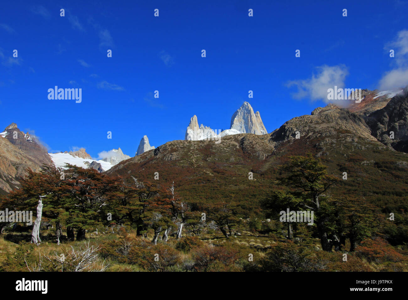Il monte Fitz Roy, parco nazionale Los Glaciares, Argentina Foto Stock Il monte Fitz Roy, parco nazionale Los Glaciares, Argentina Foto Stock
