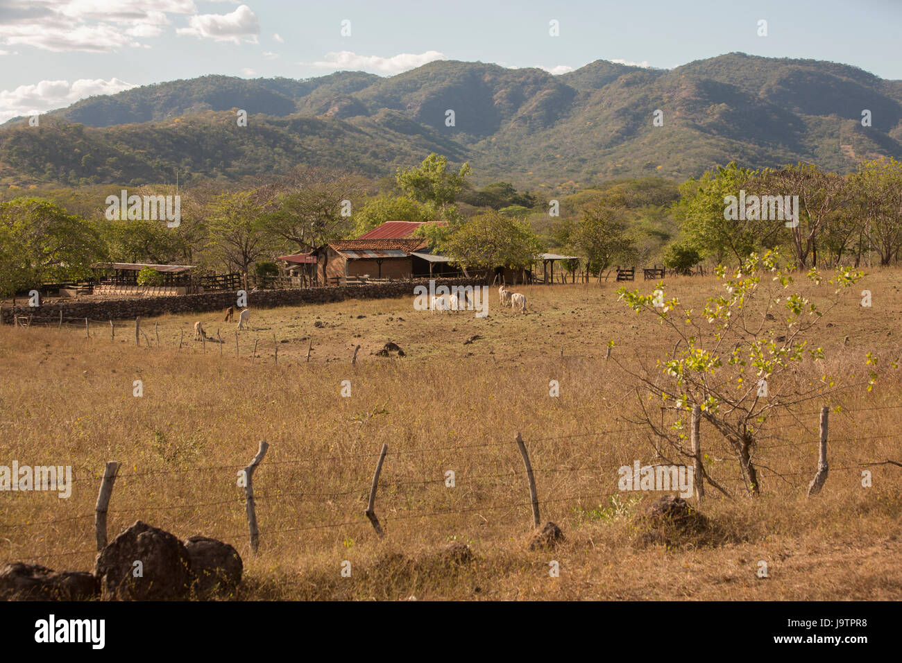 Colline salire al di sopra di fattorie in El Sauce comune, Léon Reparto, Nicaragua. Foto Stock