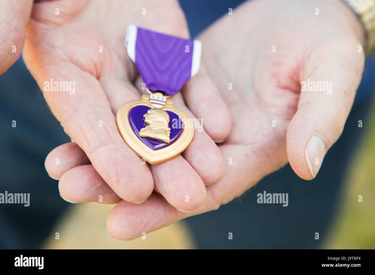 Senior Man tenendo i militari Purple Heart Medal nelle sue mani. Foto Stock