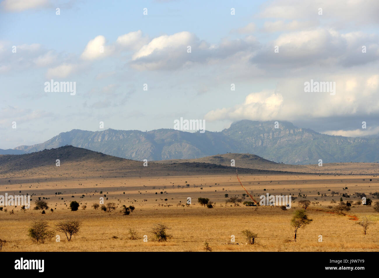 Savana paesaggio nel parco nazionale del Kenya, Africa Foto Stock
