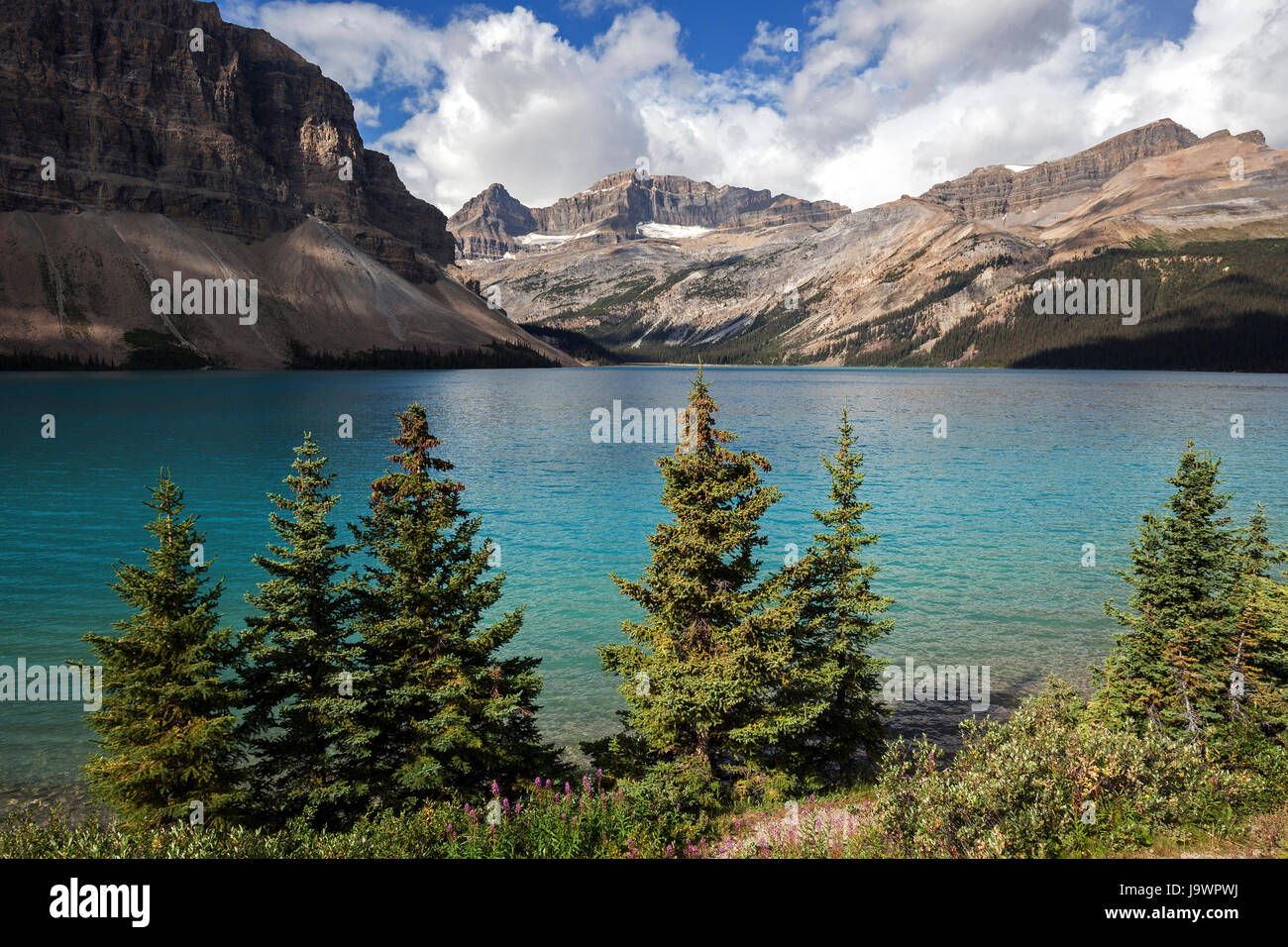 Al Lago Bow nella parte anteriore del paesaggio di montagna, il Parco Nazionale di Banff, montagne rocciose, Alberta, Canada Foto Stock