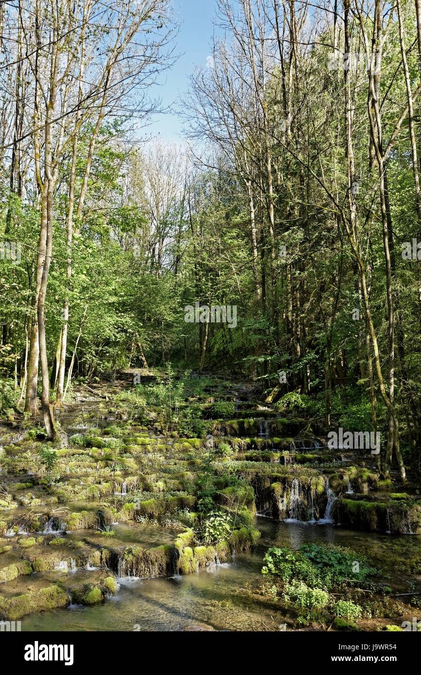 Terrazze di travertino, travertino creek nel monumento naturale Lillachtal, Weißenohe-Dorfhaus, Svizzera Francone naturale Foto Stock
