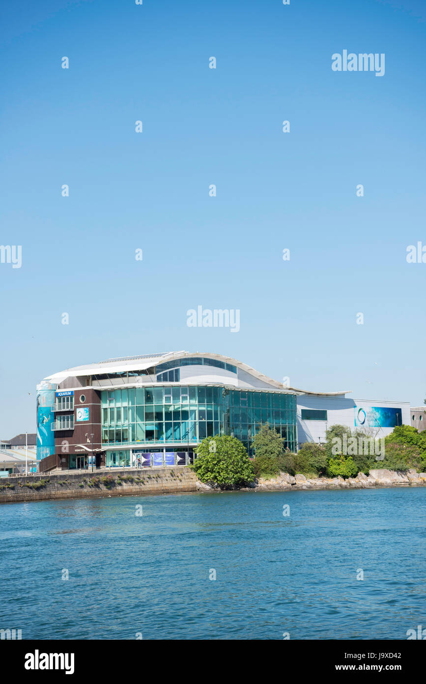 National Marine Aquarium, Plymouth. Foto Stock