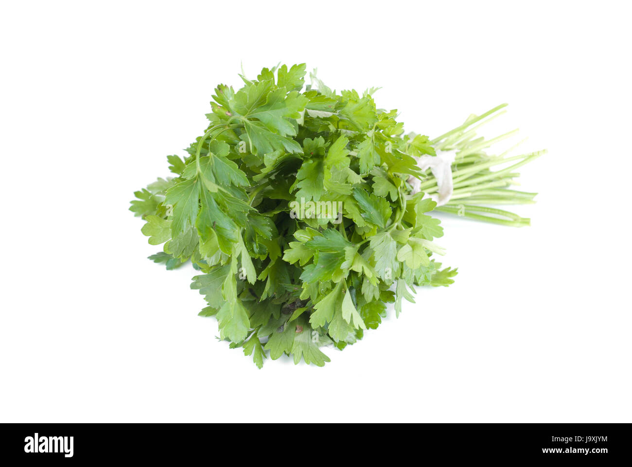 Cibo, aliment, leaf, salute, isolato, giardino, foglie, oltre, la freschezza, studio, Foto Stock