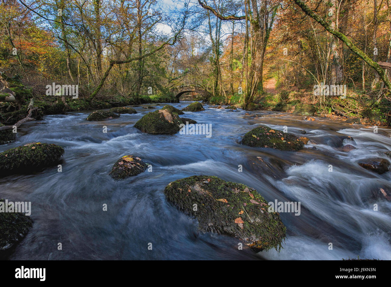 Hisley packhorse ponte sopra il fiume Bovey nr Lustleigh su Dartmoor. Foto Stock