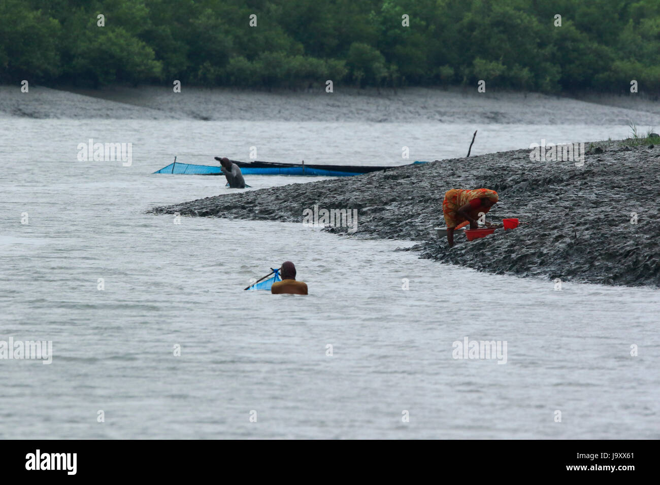 I pescatori la cattura di gamberetti giovani sul fiume Kholpetua in la Sundarbans. Satkhira, Bangladesh. Foto Stock