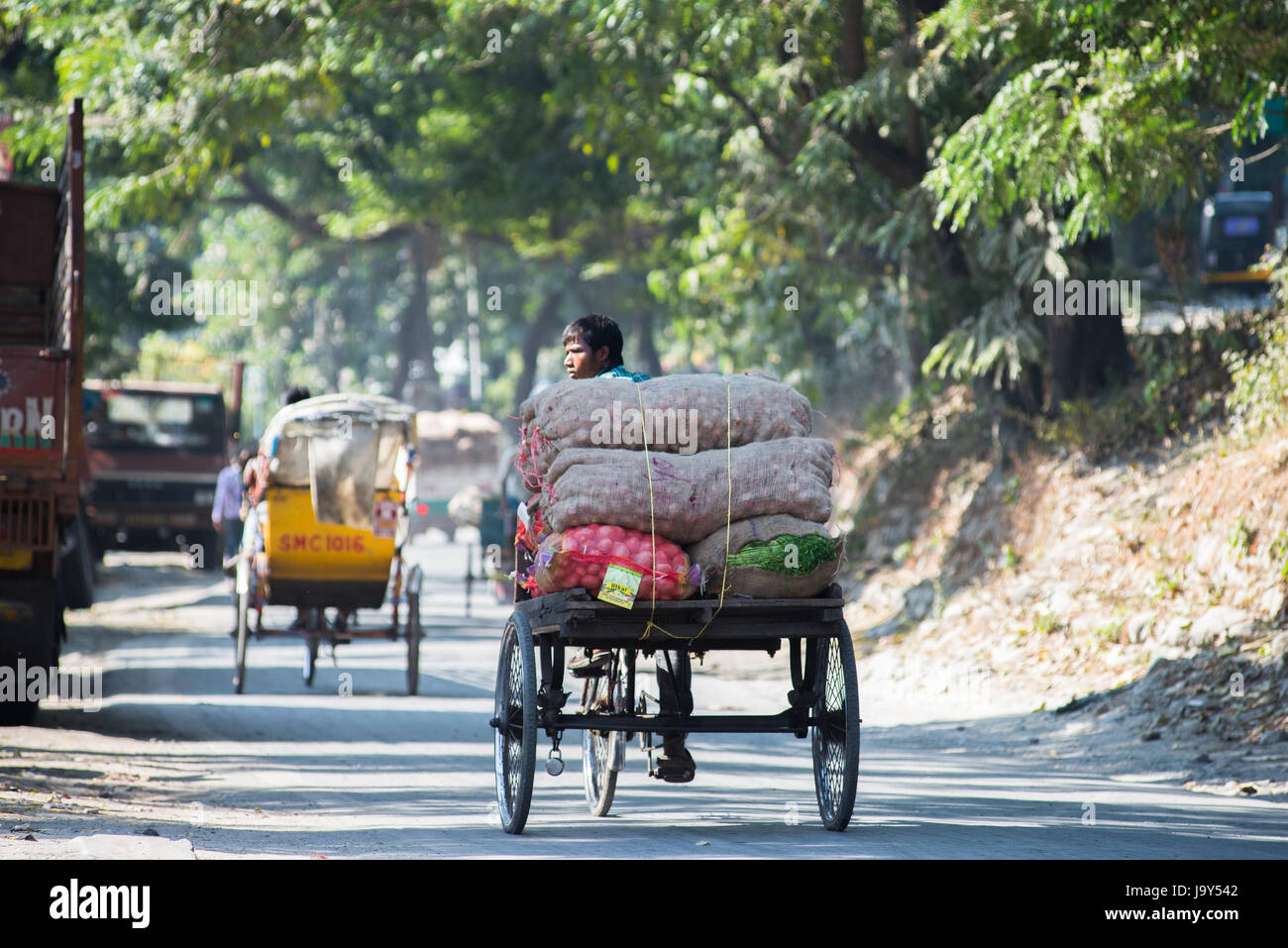 SILIGURI, India - 5 dicembre 2016: a tre ruote carrello è ampiamente utilizzato per il trasporto dei prodotti da un mercato all'ingrosso in Siliguri. Foto Stock