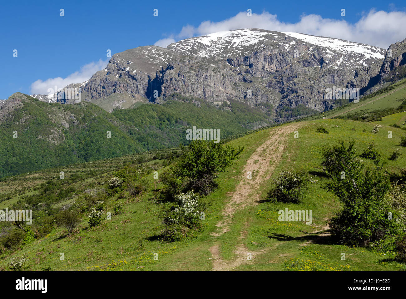 Verde bosco e percorso turistico a picco Botev, montagna Stara Planina, Bulgaria Foto Stock