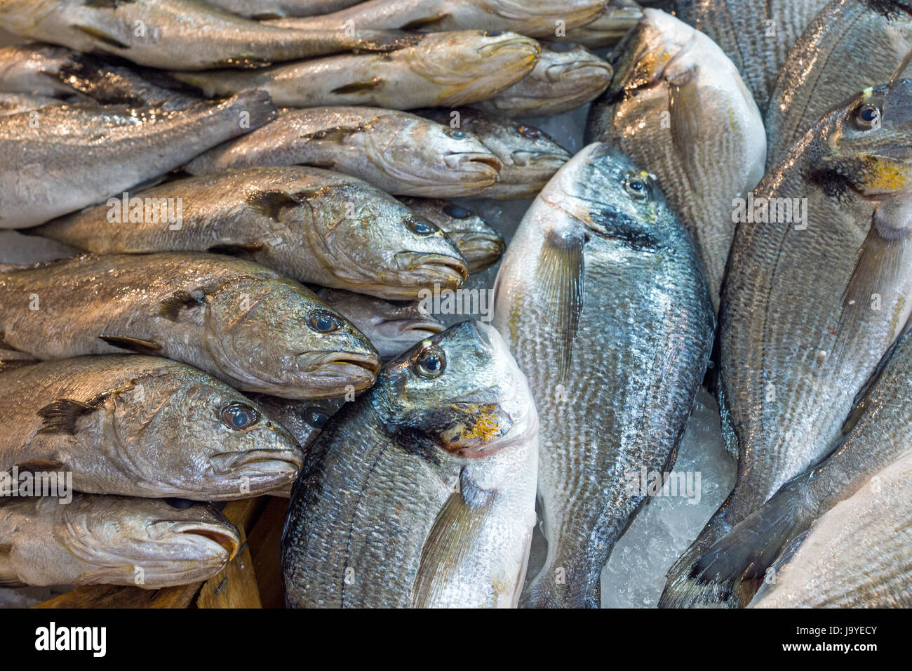Pesce fresco al mercato del pesce Foto Stock