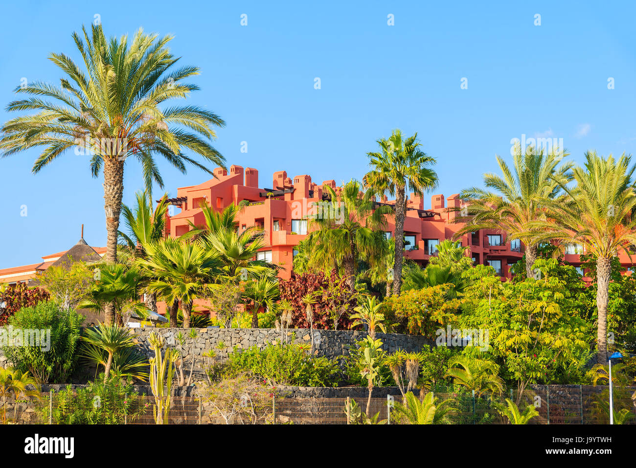 Palme e costruzione di hotel sulla costa dell'isola di Tenerife a Costa Adeje cittadina balneare, Isole Canarie, Spagna Foto Stock