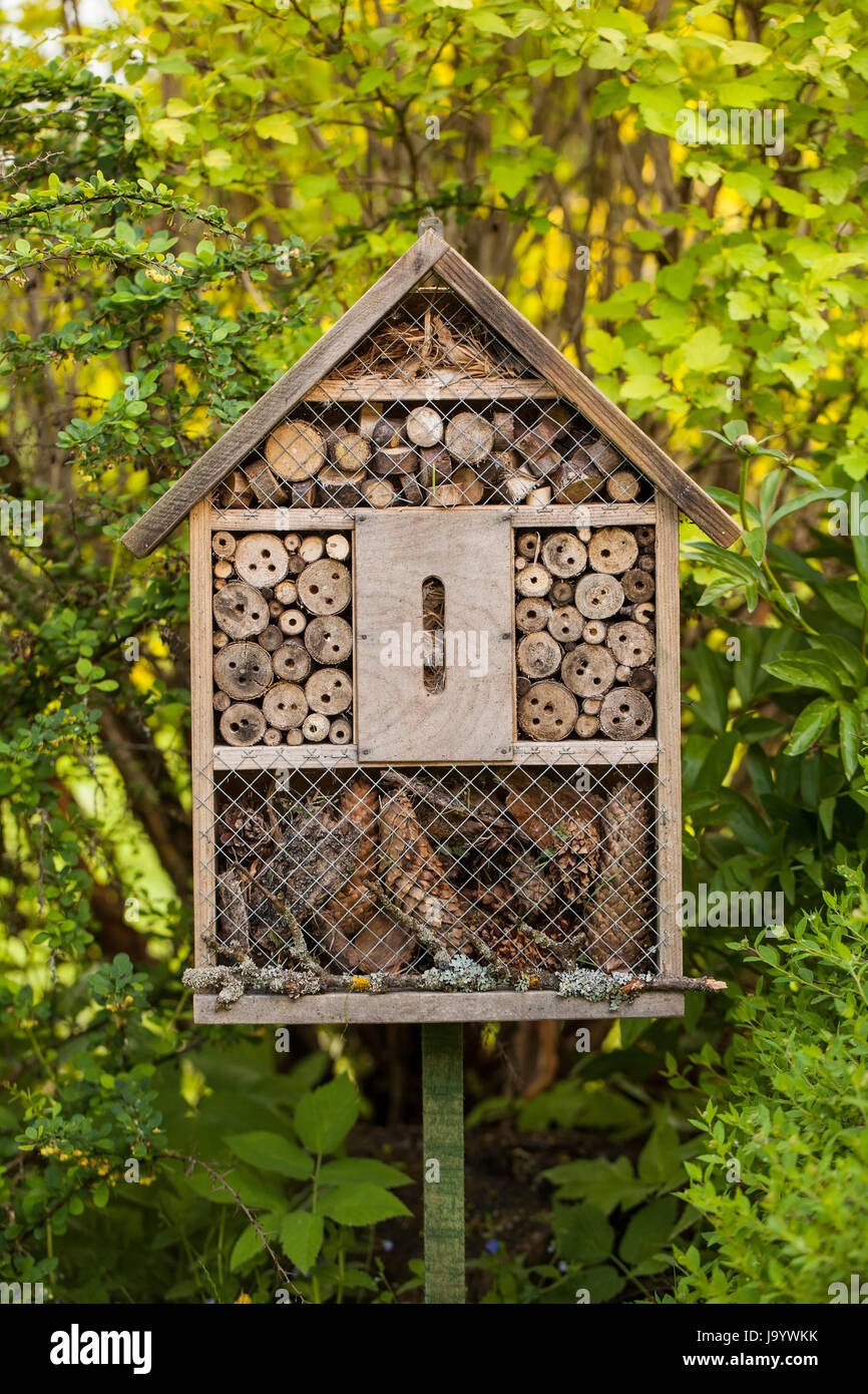 Casa di insetti in un giardino estivo Foto Stock