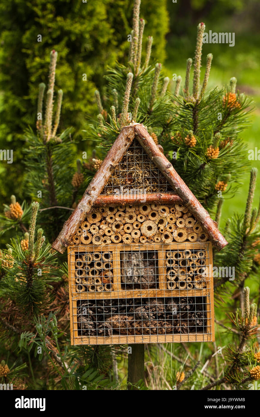 Casa degli insetti - hotel in un giardino estivo Foto Stock