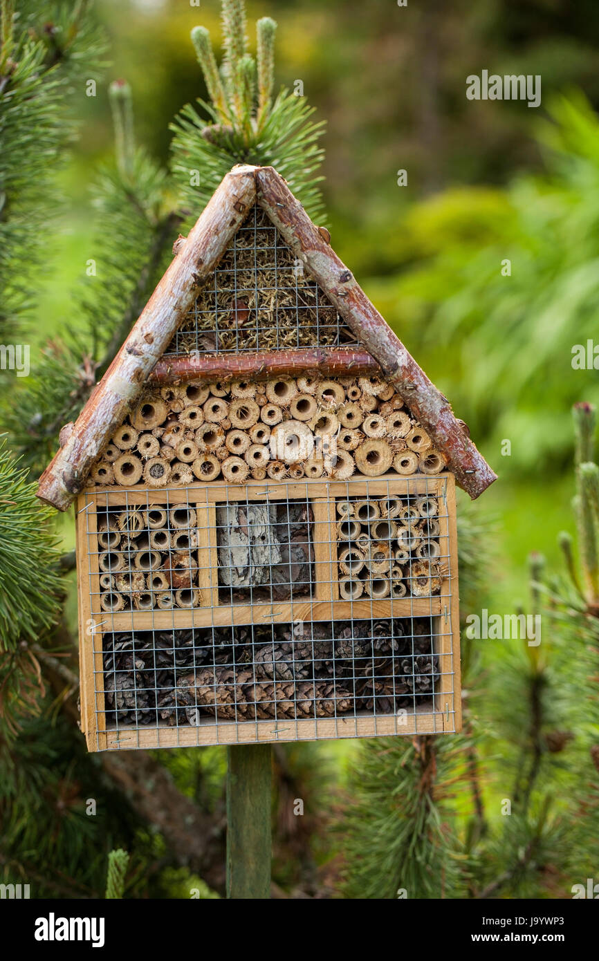 Casa di insetti in un giardino estivo Foto Stock