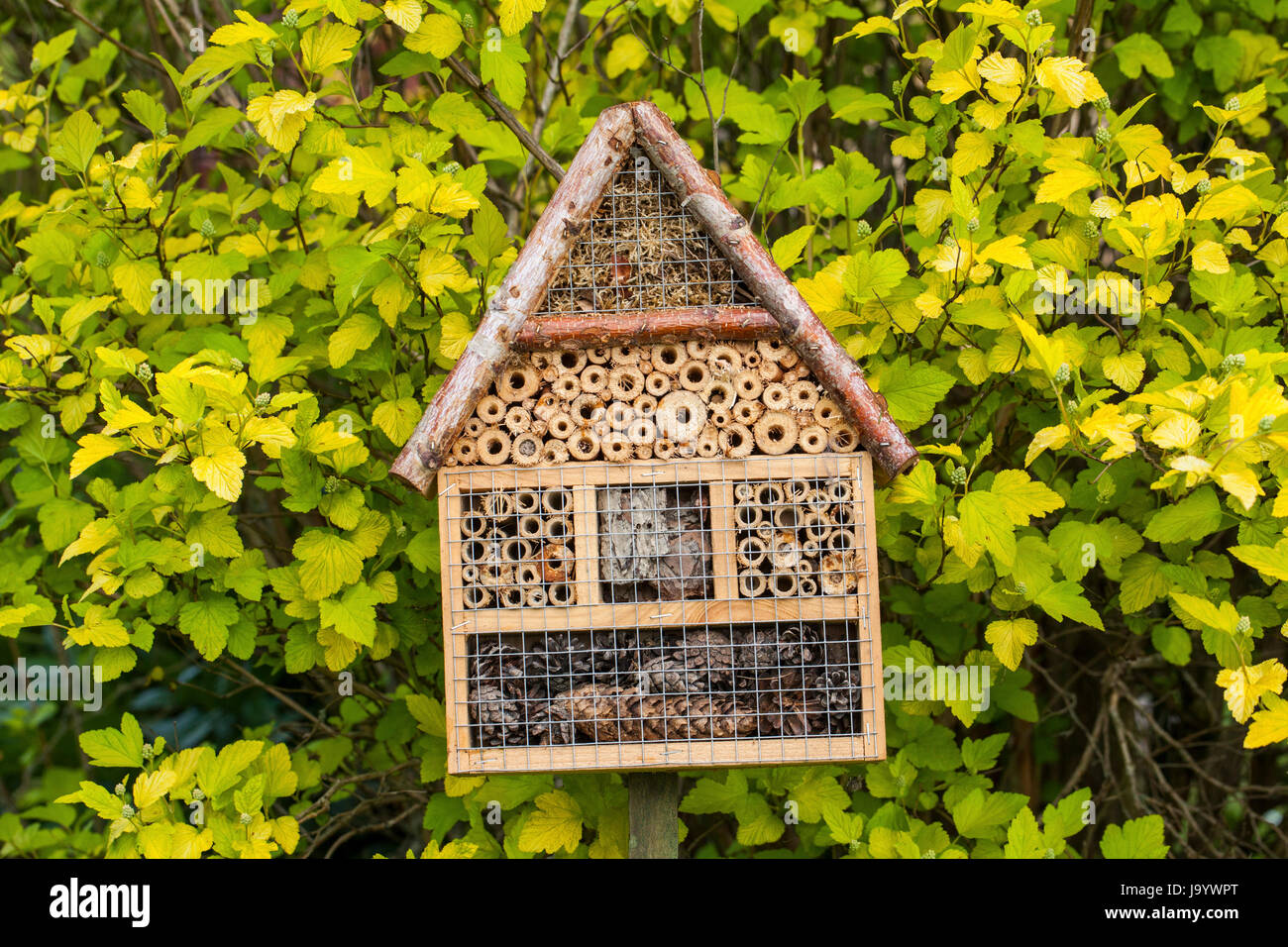 Casa degli insetti - hotel in un giardino estivo Foto Stock