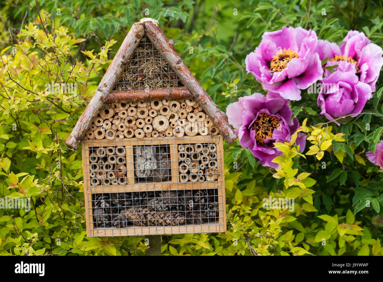 Legno casa di insetti in un giardino estivo Foto Stock