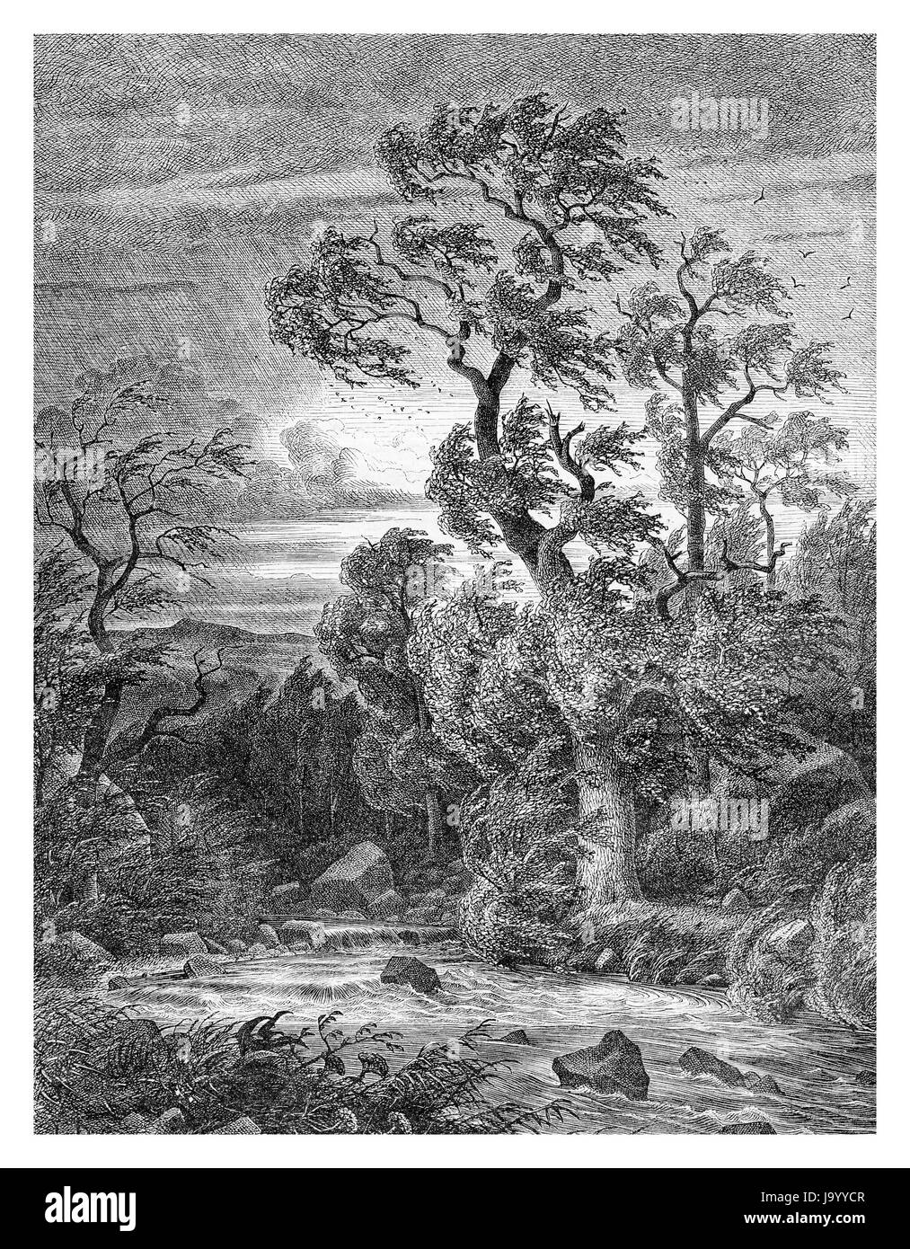 In autunno il vento tempestoso in campagna, XIX secolo incisione Foto Stock