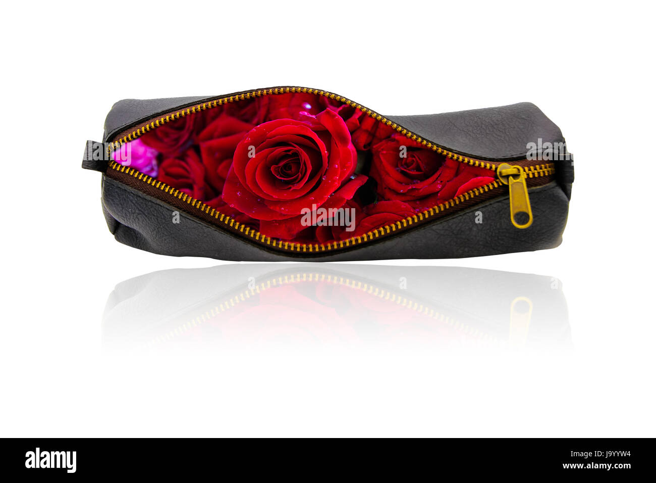 Il concetto di amore ,moda in pelle borsa con rosa rossa all'interno isolato su sfondo bianco. Foto Stock