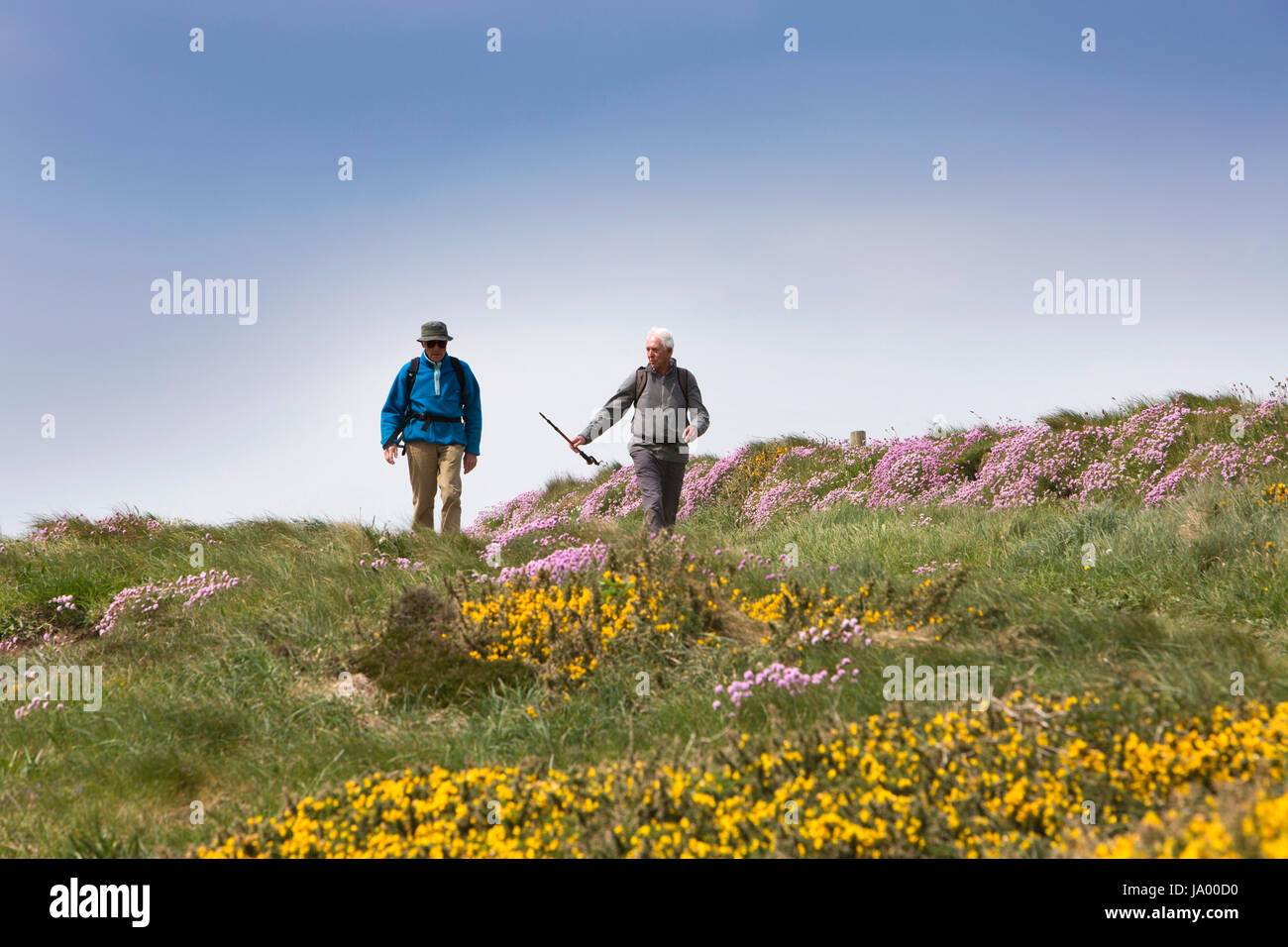 Nel Regno Unito, in Galles, Pembrokeshire, Solva, due uomini a piedi alti sulla costa del Galles percorso in corrispondenza di Craig Friw Foto Stock