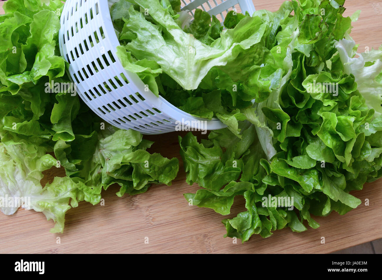 Foglie di lattuga nel cadere plastica coliander bianco sul bordo di taglio Foto Stock