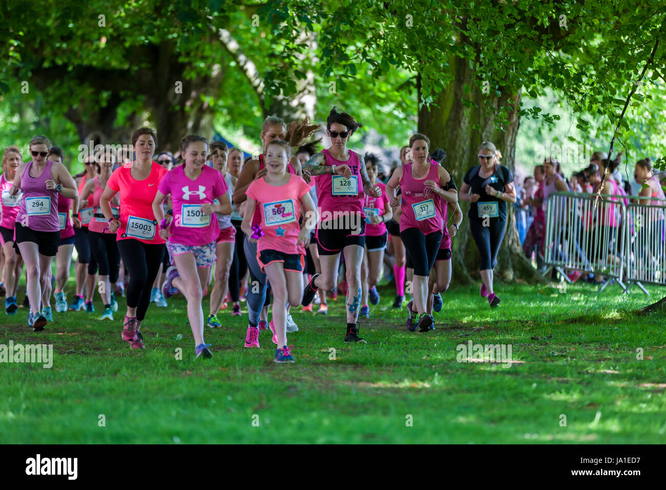 Abington Park, Northampton, U.K. 4rd June 2017. 10k Cancer Research Race for life, walk, jog or run, the route is two laps which meander through Abington Park covering all areas of the scenic park which started at 10am. Credit: Keith J Smith./Alamy Live News Foto Stock