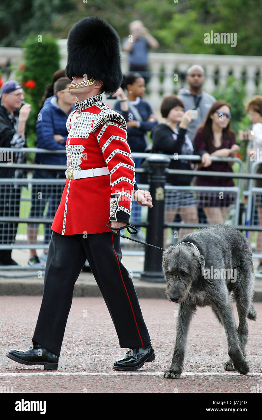 Londra, Regno Unito. Il 4 giugno, 2017. Irlandese guardie su Parade durante il maggiore generale revisione della Trooping il colore 2017, portato fuori dal loro attuale mascotte, Irish Wolfhound Domhnall. Credito: Mark Davidson/Alamy Live News Foto Stock