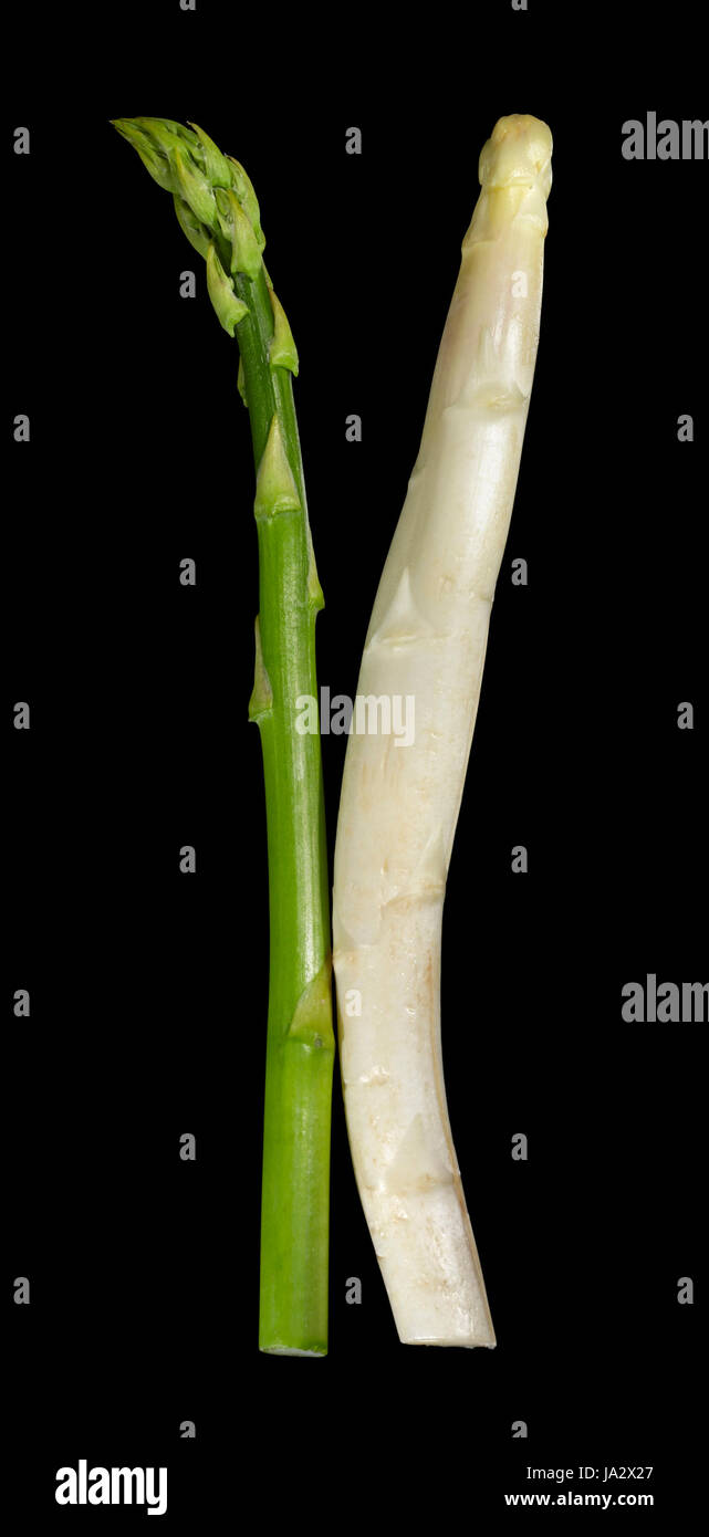 Il bianco e il verde gli asparagi vegetale in black back Foto Stock